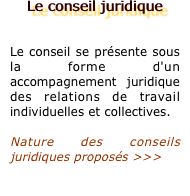 Le conseil juridique